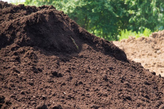 soil
